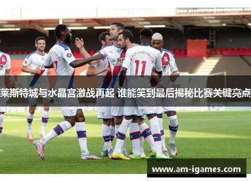 莱斯特城与水晶宫激战再起 谁能笑到最后揭秘比赛关键亮点 莱斯特城与水晶宫激战再起 谁能笑到最后揭秘比赛关键亮点