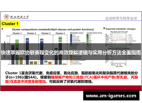 快速掌握欧协联赛程变化的高效理解逻辑与实用分析方法全面指南