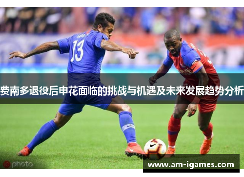 费南多退役后申花面临的挑战与机遇及未来发展趋势分析 费南多退役后申花面临的挑战与机遇及未来发展趋势分析