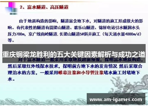 重庆铜梁龙胜利的五大关键因素解析与成功之道