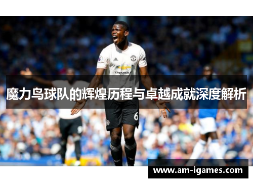 魔力鸟球队的辉煌历程与卓越成就深度解析