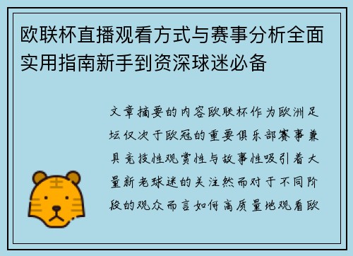欧联杯直播观看方式与赛事分析全面实用指南新手到资深球迷必备 欧联杯直播观看方式与赛事分析全面实用指南新手到资深球迷必备